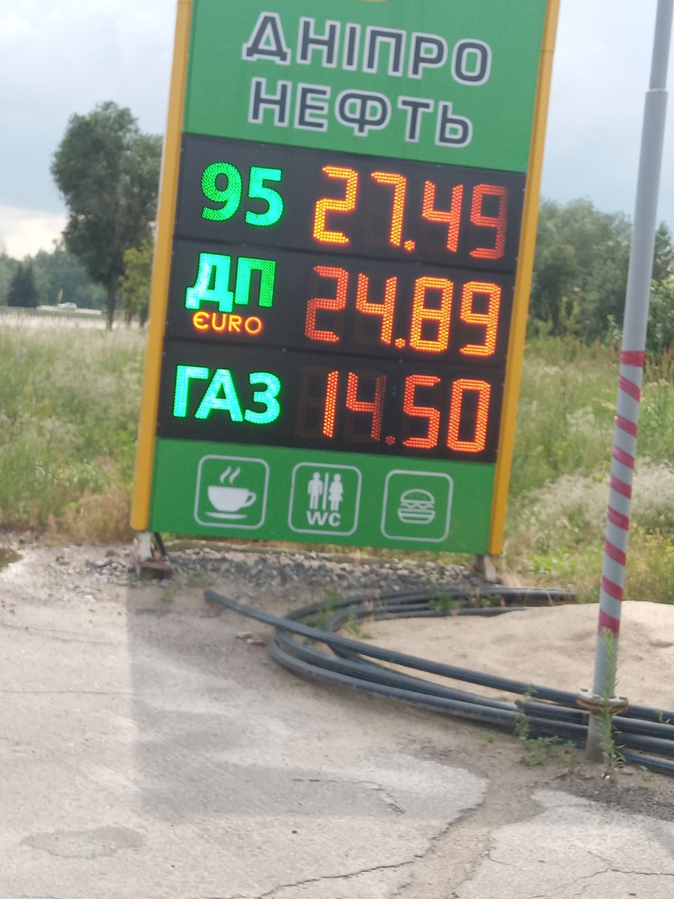Газеліусу не сподобалися капці! 1