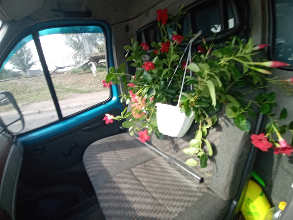 Папка з фотографіями. 5