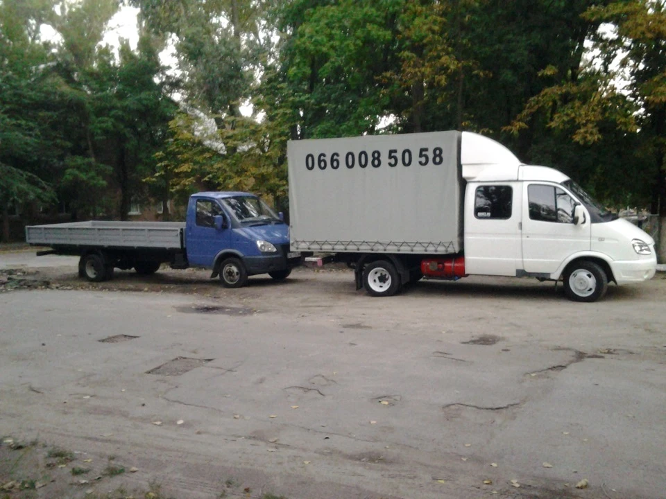 Дві мої красуні)))