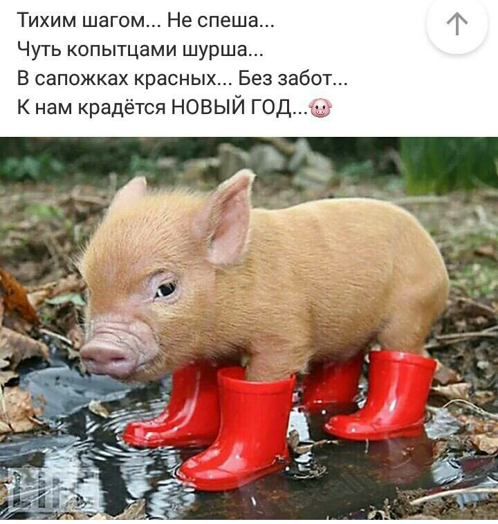 З НАСТУПНИМ! 1