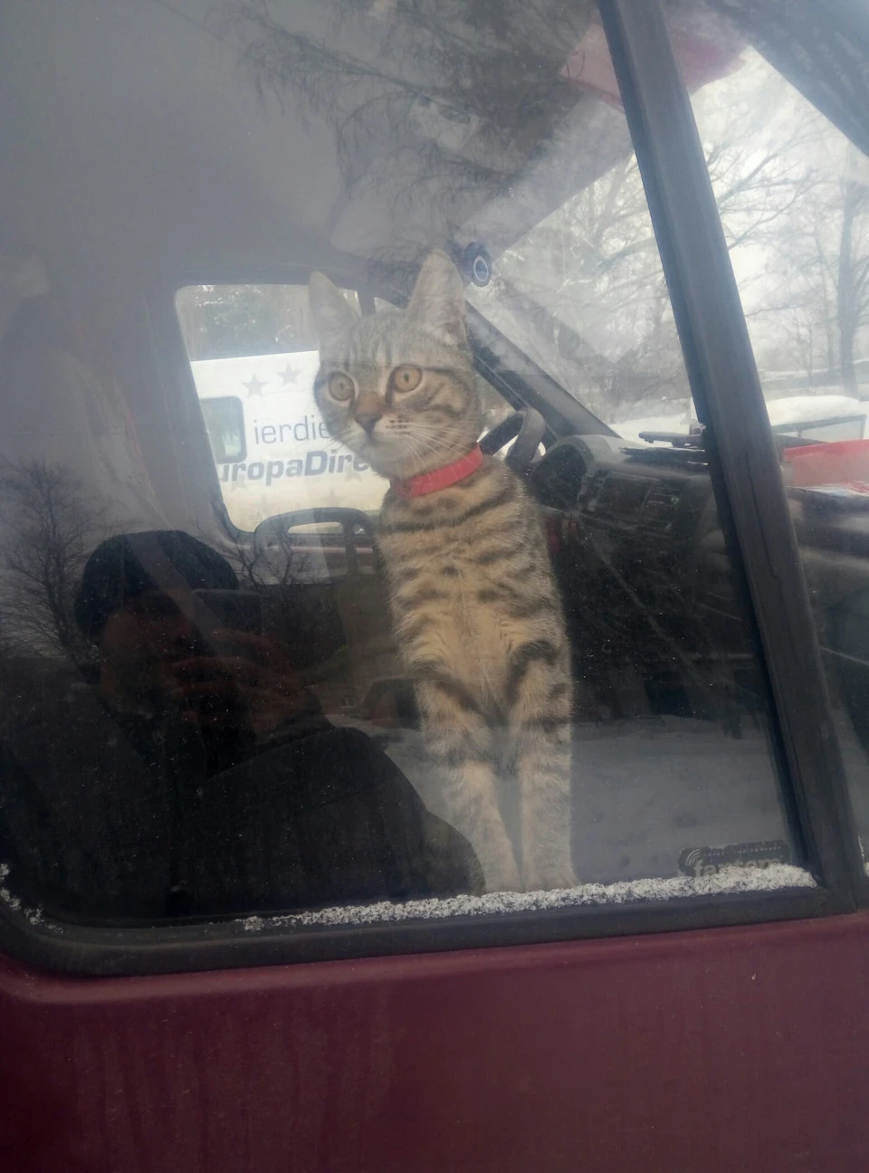 Будні