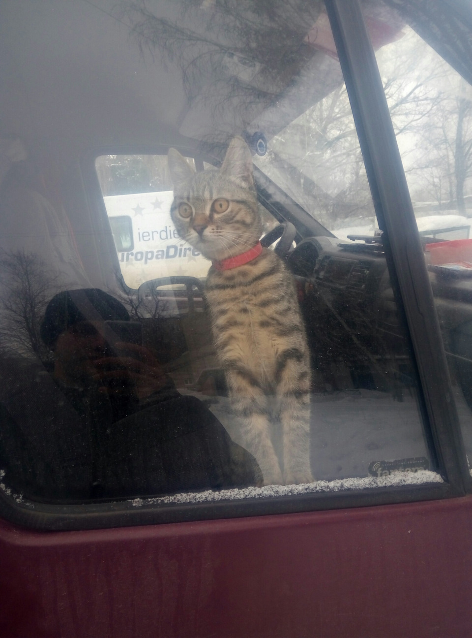Будні 1