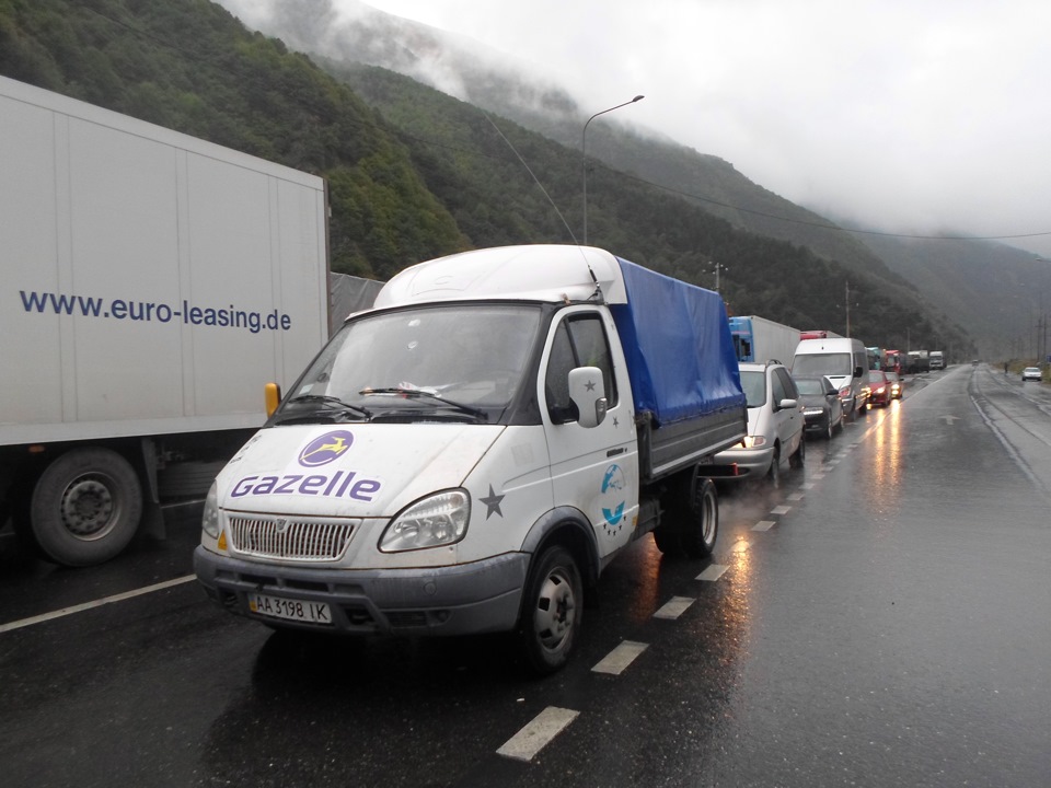 Фото Ластівки з гірських перевалів і не тільки… 3