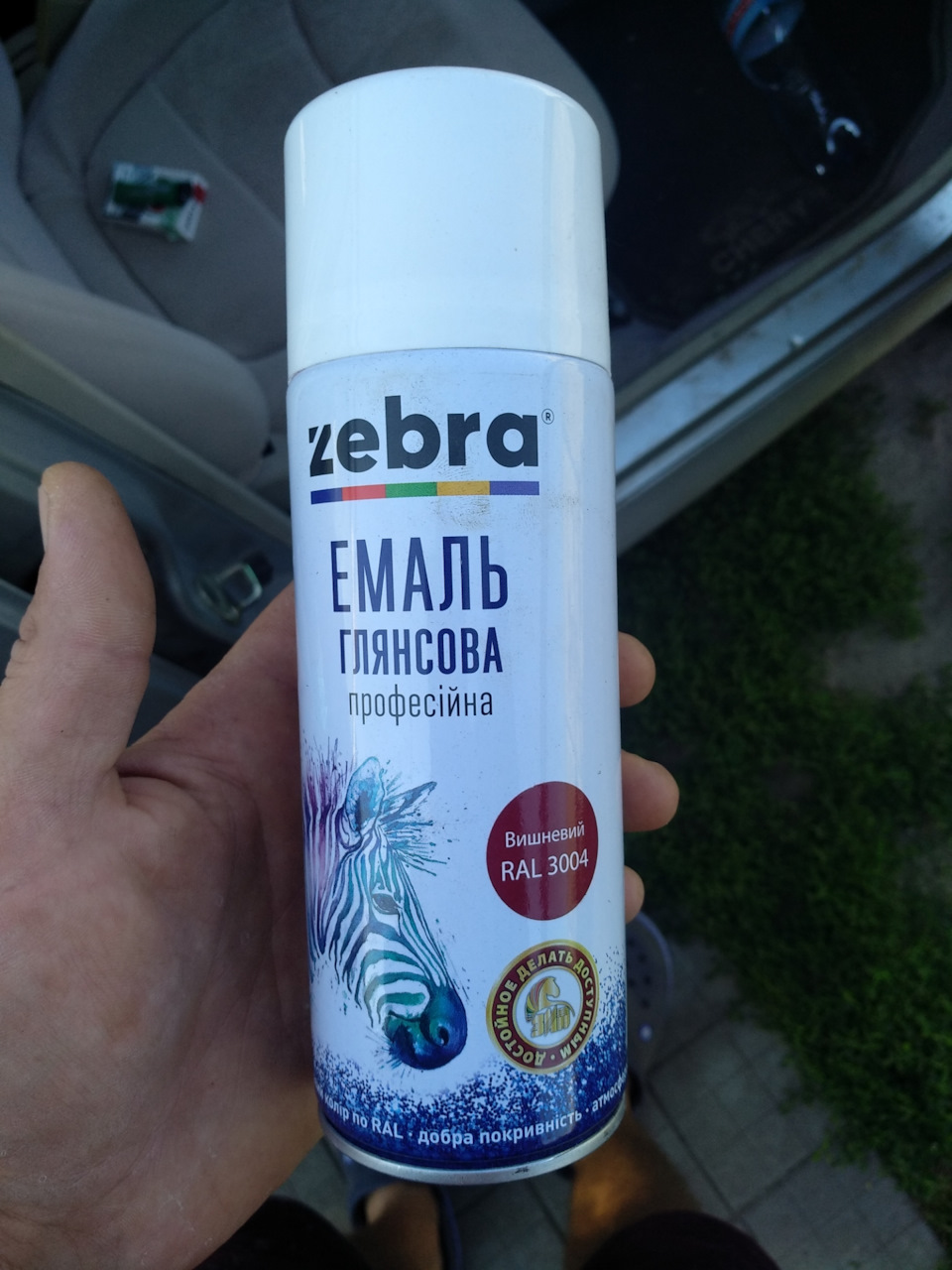 Нова платформа. Тент та двері. 2