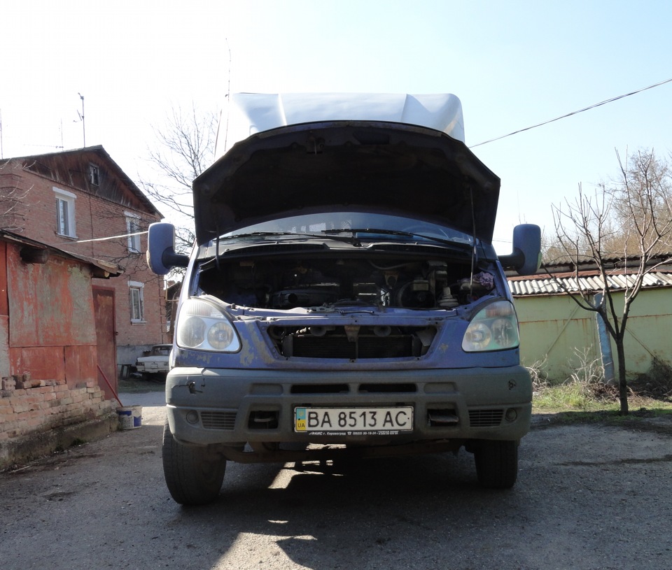 Переодягли в літо) 4