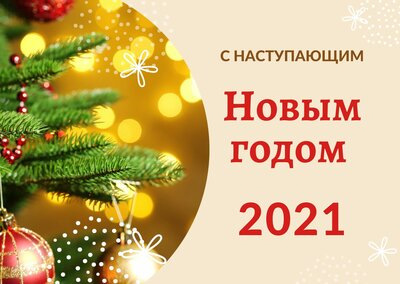 З наступаючим Новим Роком. Подарунок газельці під новий рік 1
