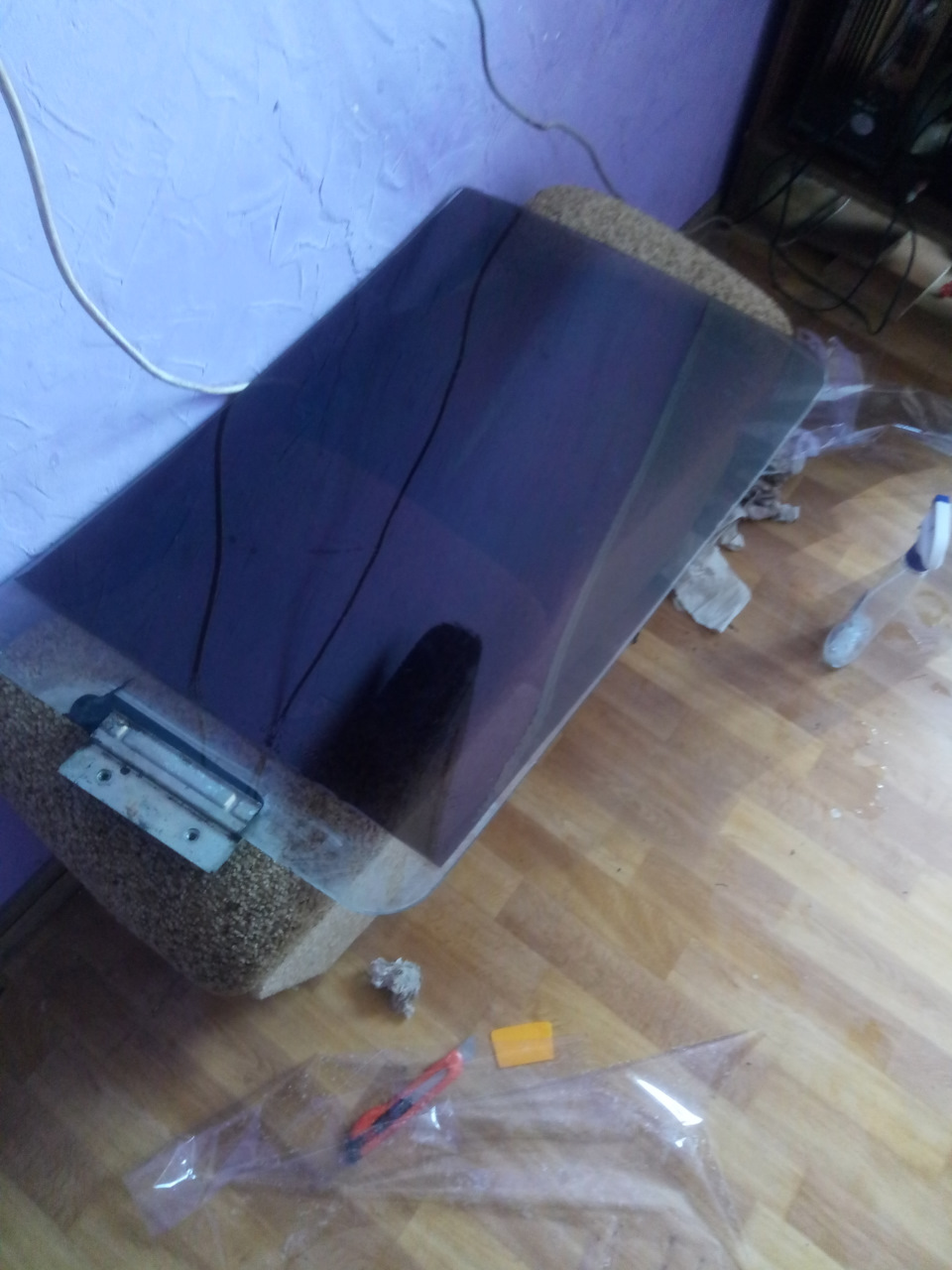 Тонування на білій газелі 1