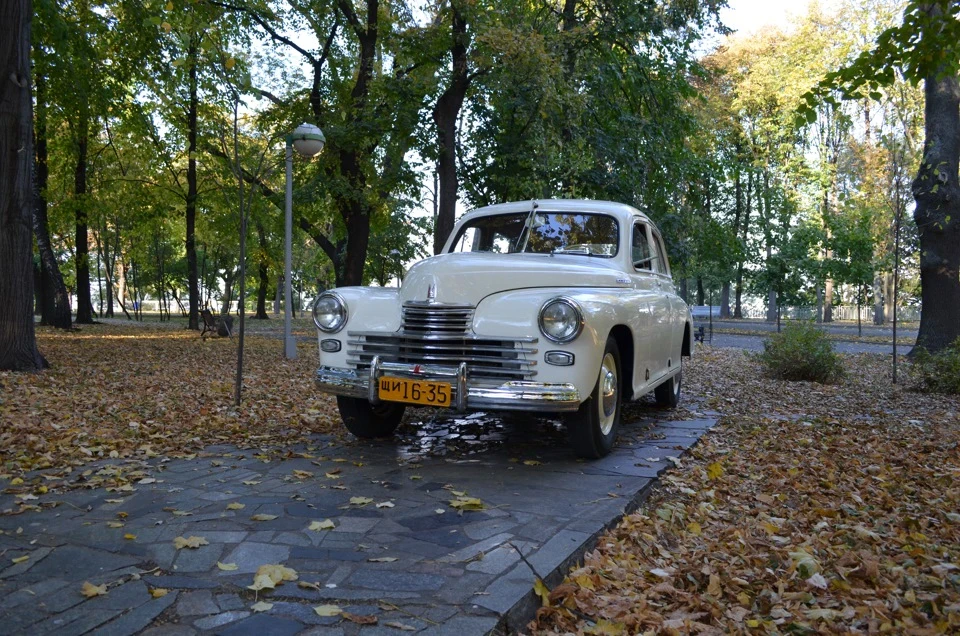 Золота осінь