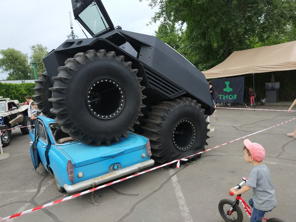 Вона притягла додому в зубах 5000 вбитих єнотів! 2