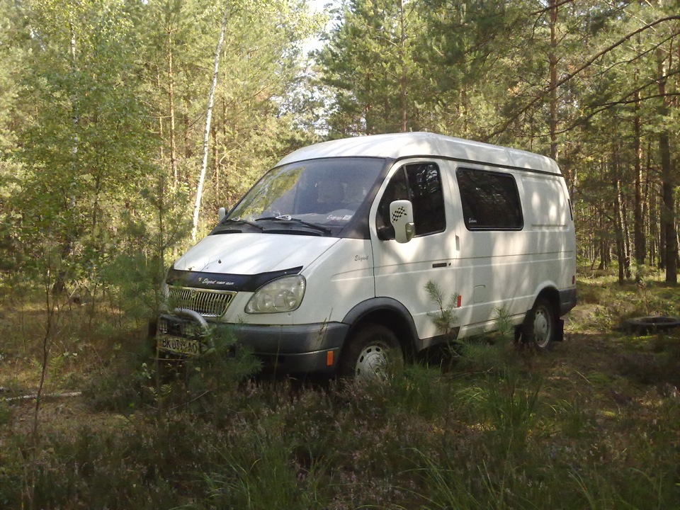 в ліс за грибами 4