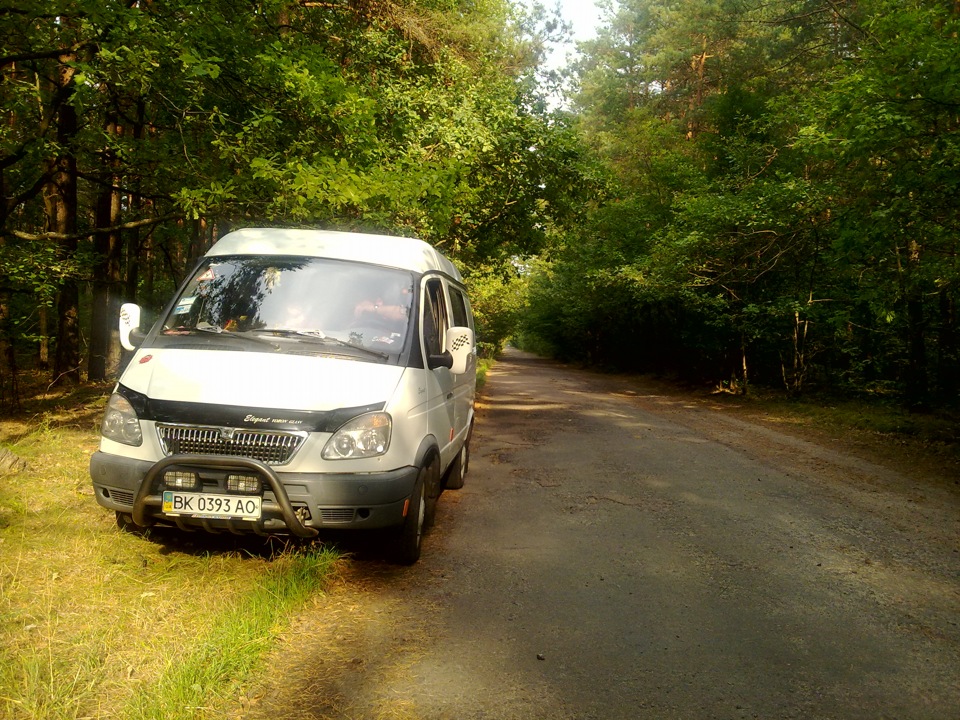 в ліс за грибами 3