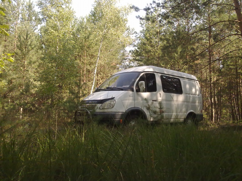 в ліс за грибами 5