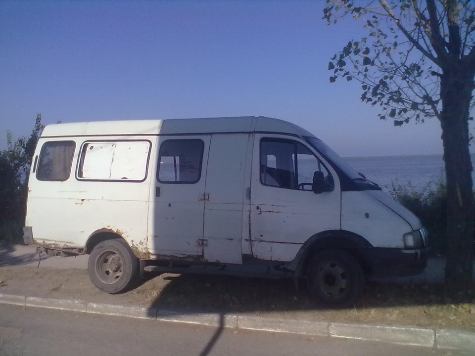 Цікавий звір 1