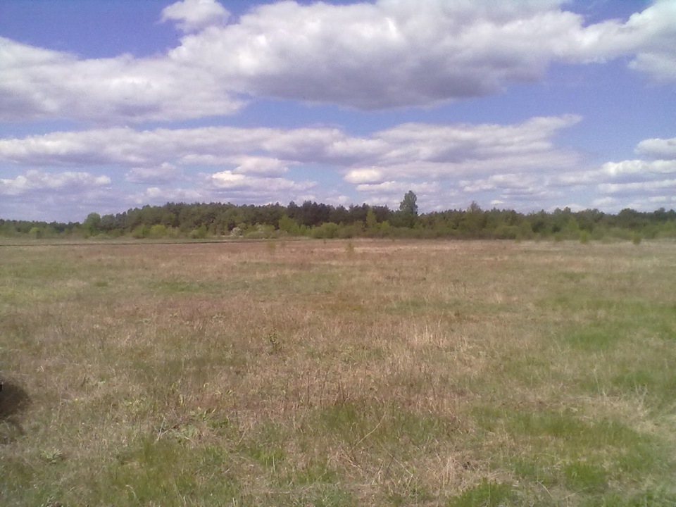 Пікнік 3