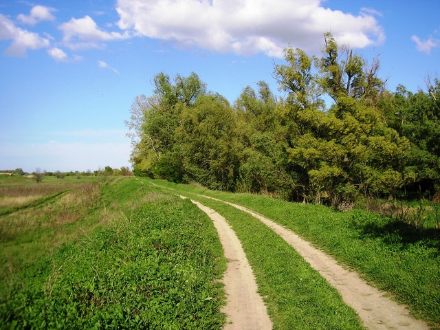 Зробив ручник. 5