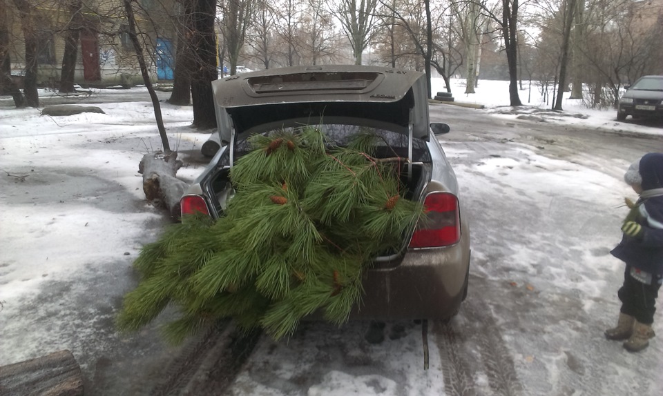 З Новим Роком! 2015 1
