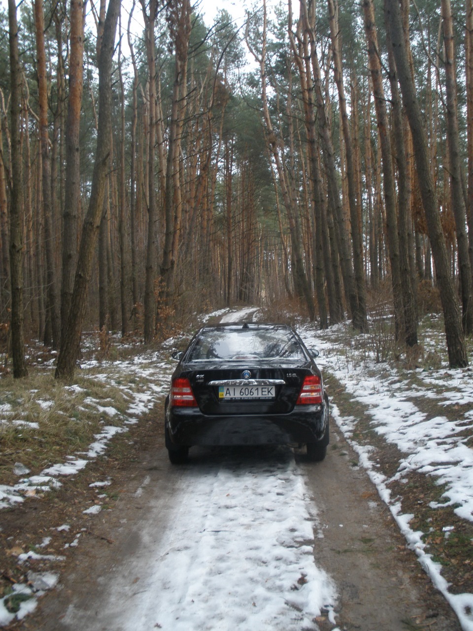 Просто фоточки...))) 4