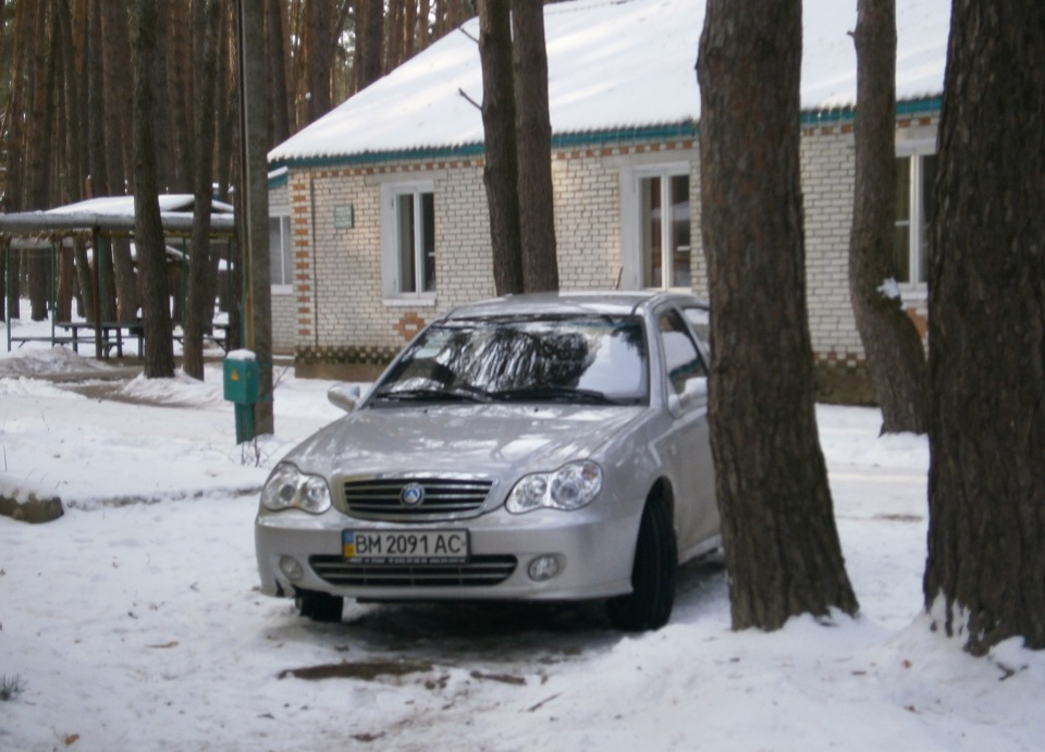 Зимовий фотосет у лісі! 2