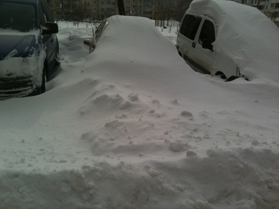 День шукача скарбів. 2