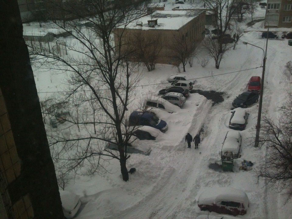 День шукача скарбів. 1