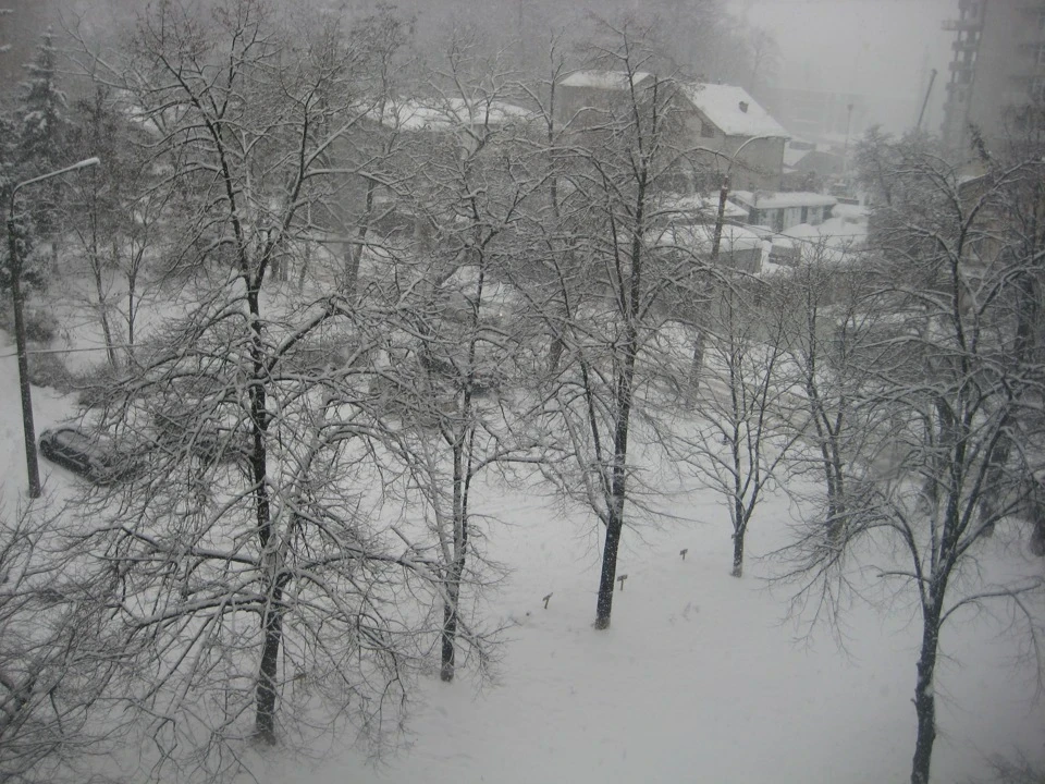 5. Завірюха.