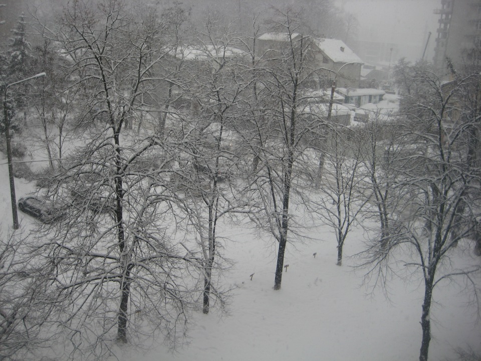 5. Завірюха. 1