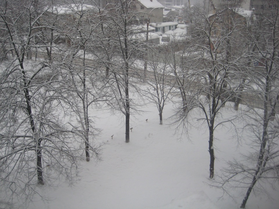 5. Завірюха. 3