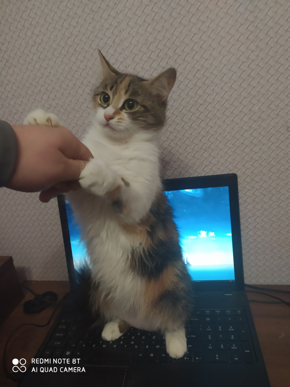 Трохи ходовки 3