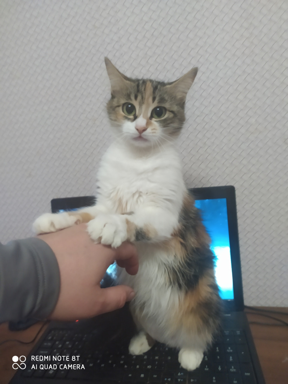 Трохи ходовки 4