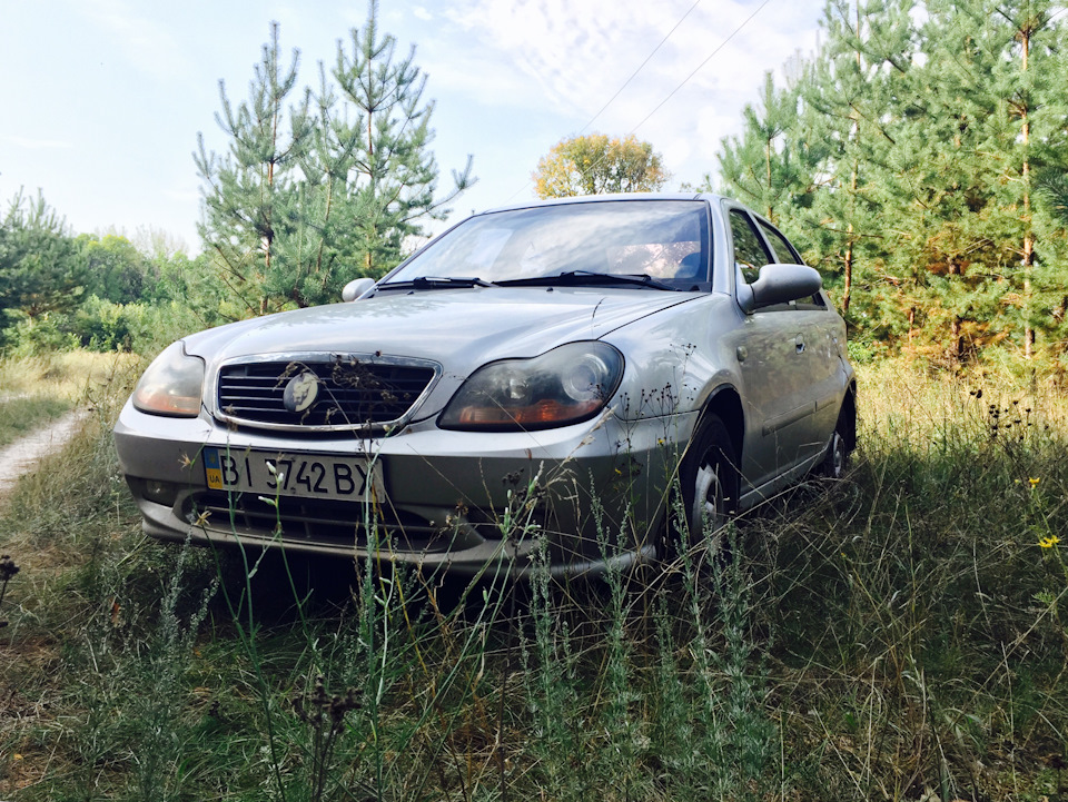 Пару фоток з поїздки до лісу 4