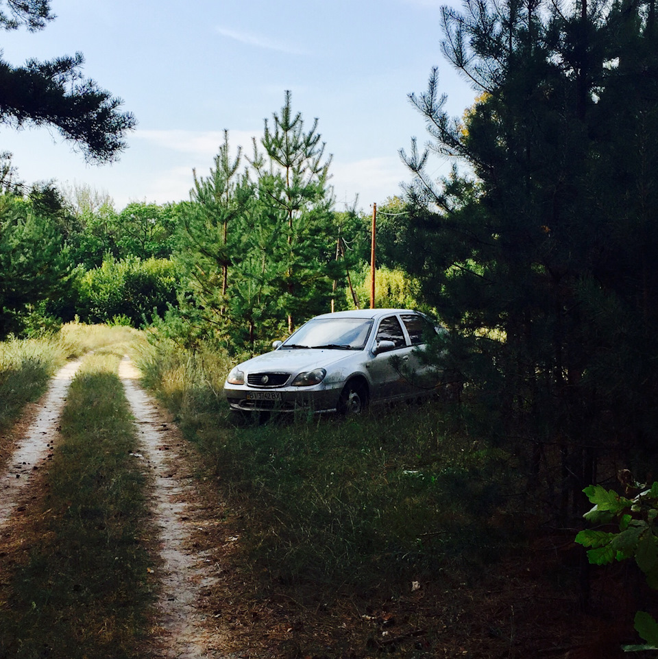 Пару фоток з поїздки до лісу 2