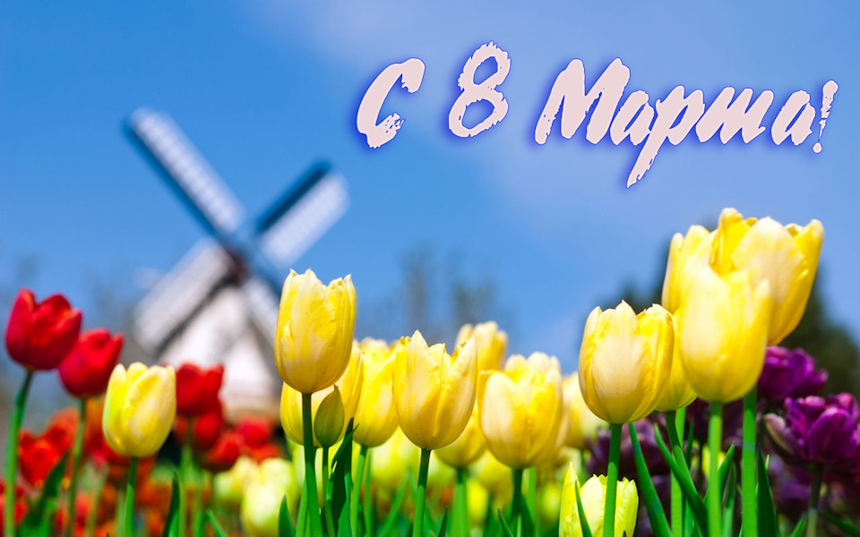 З наступаючим 8 Березня! 4