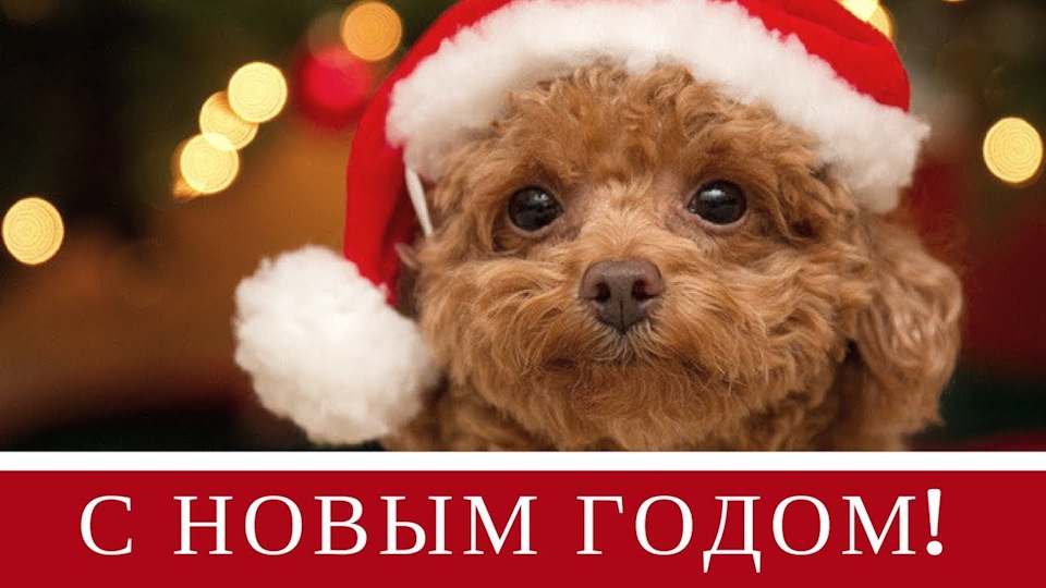З НОВИМ РОКОМ 2018 1