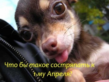 Всіх зі святом. 1