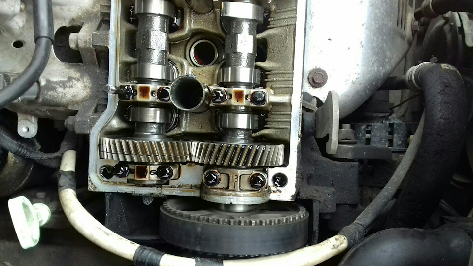 Вирішив подивитися на ремінь грм 2