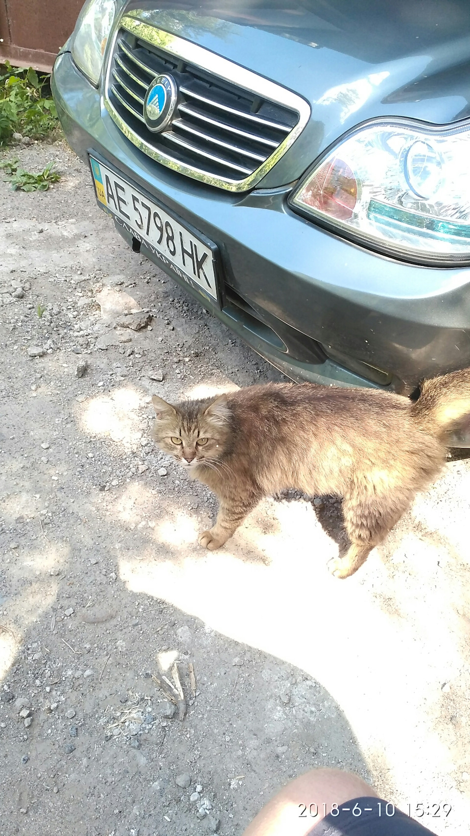 ТО 4