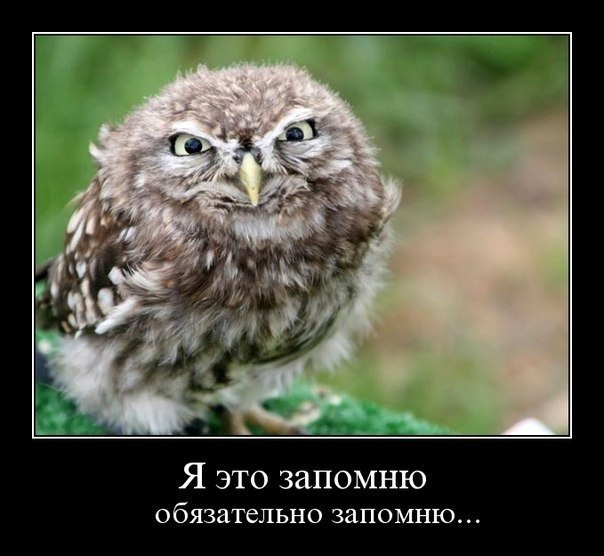 задні сайлентблоки 1