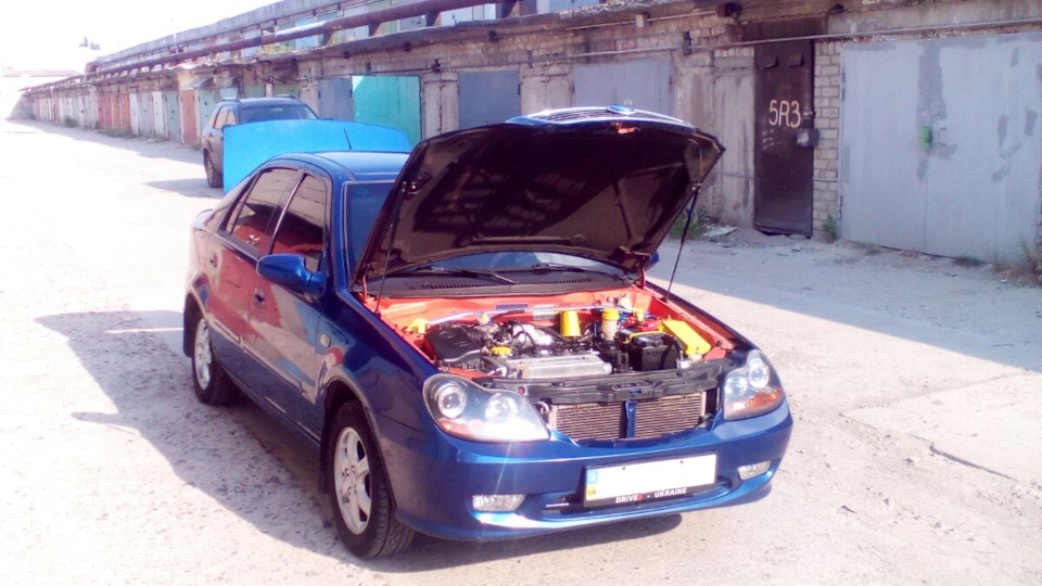 Продаю свою красуню 5