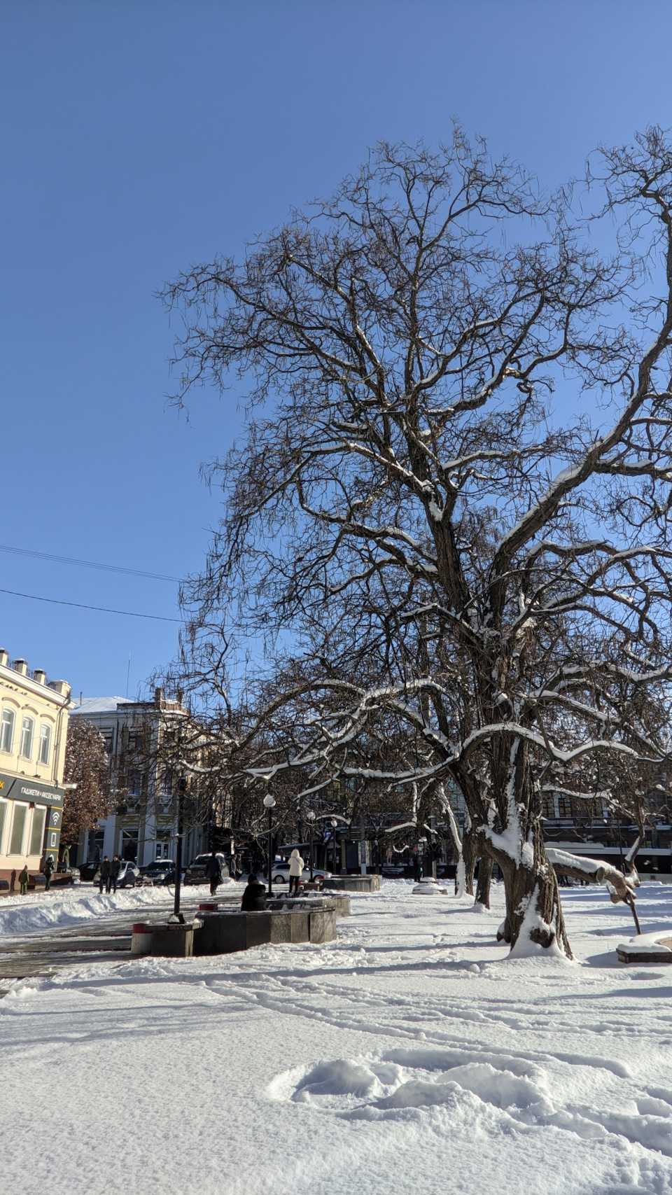 6. Переоформлення автомобіля + поїздка до Кропивницького 3