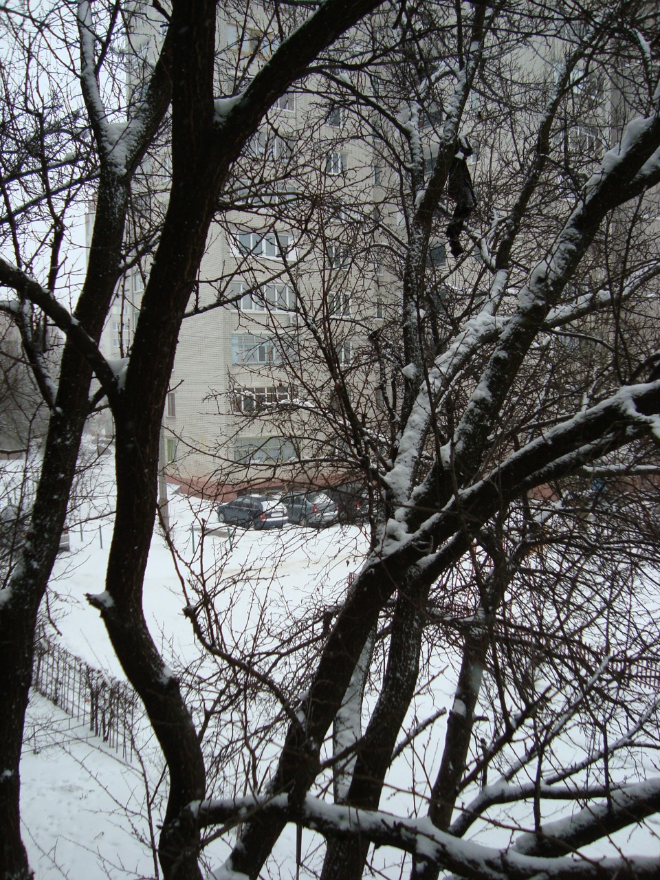 весна)) 4