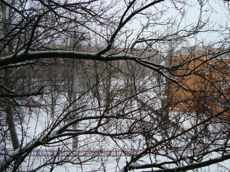 весна)) 5