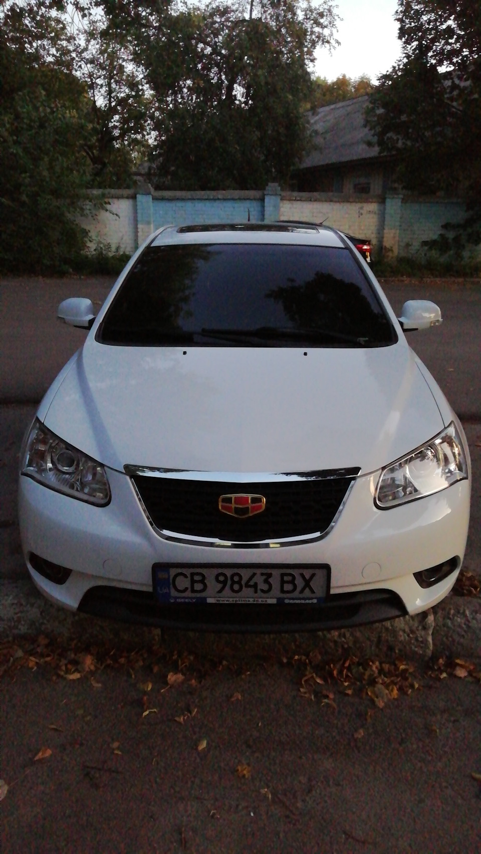 Тонування. 5