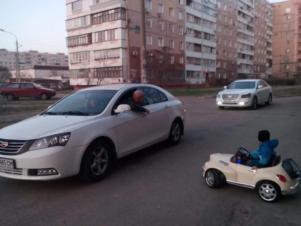 Все на білих