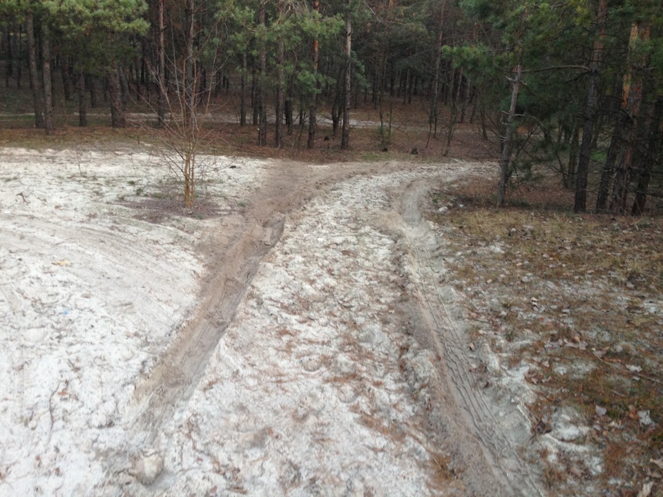 Звозив з другом своїх дам на море до міжнародного жіночого дня) 2