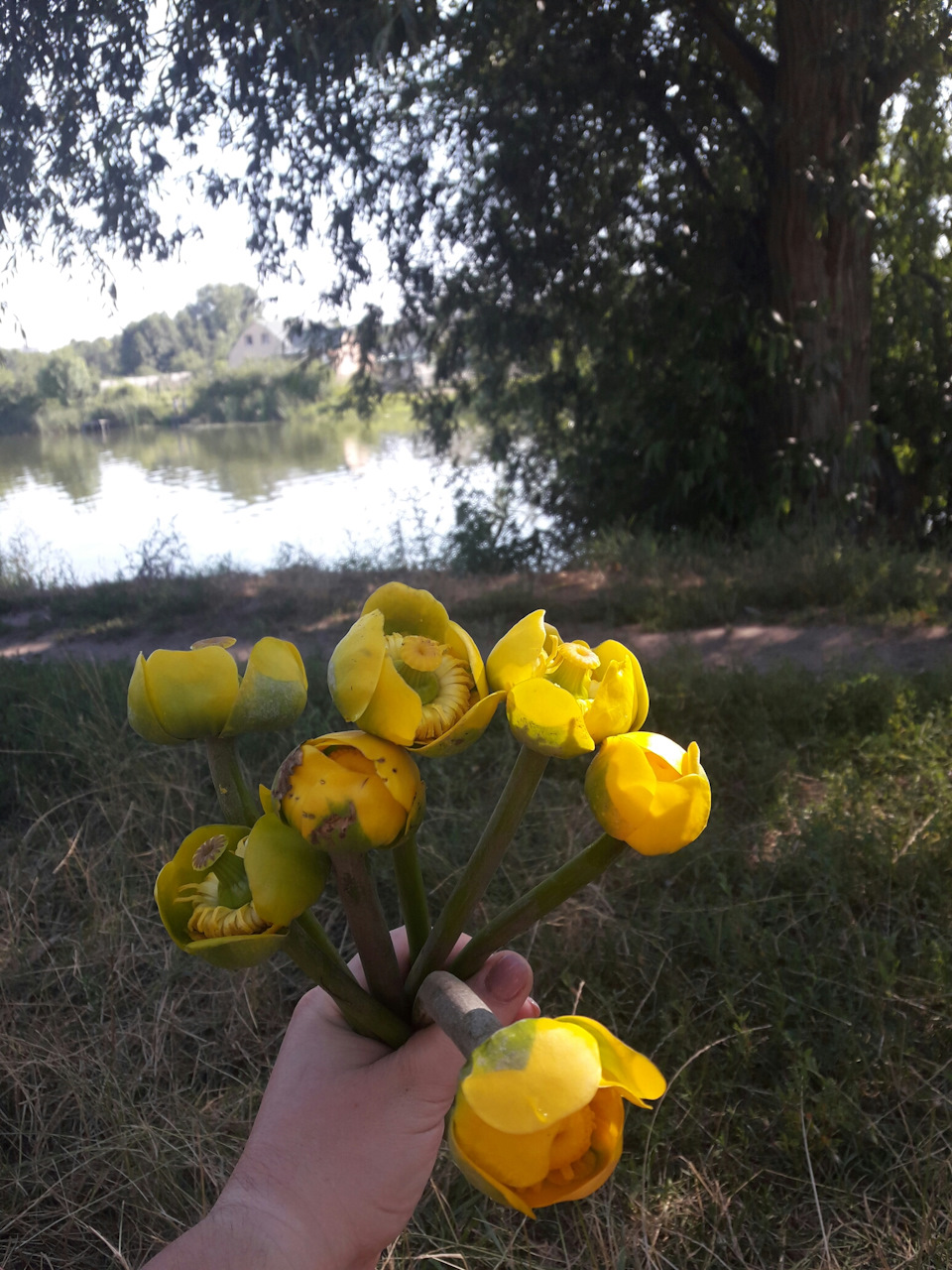 Вихідні 3