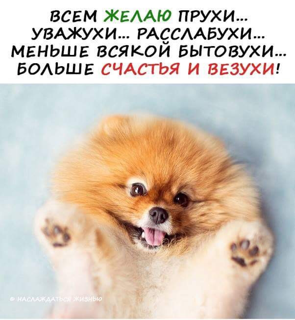 З Новим Роком та різдвом Христовим! 2