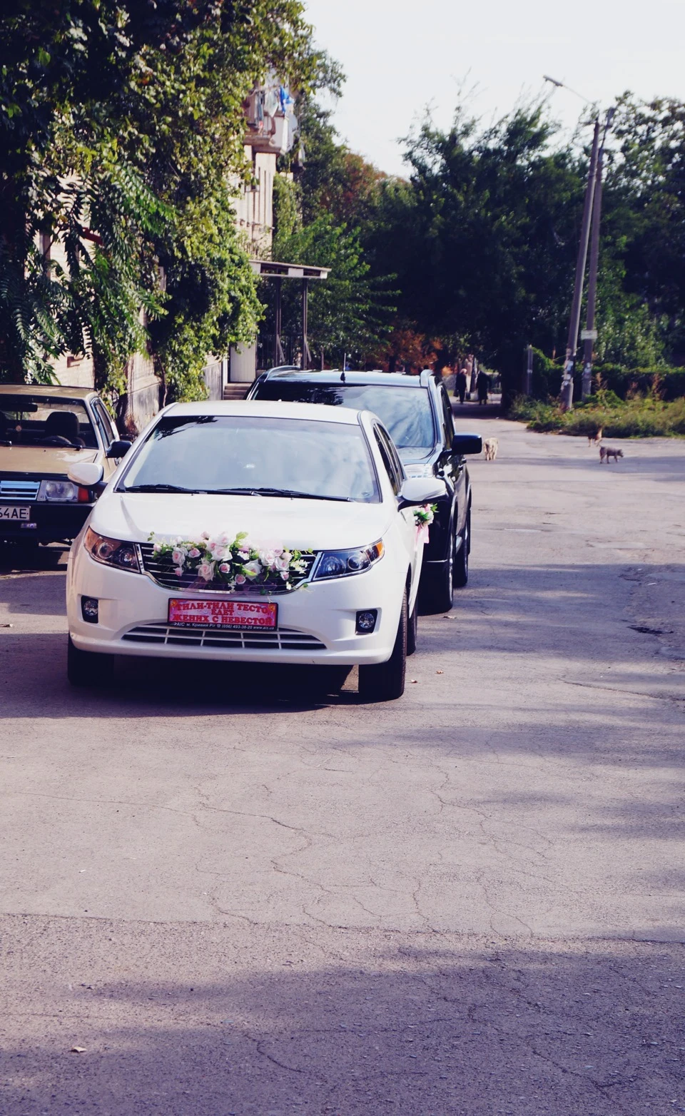 Ах, це весілля, весілля, весілля співала і танцювала ...