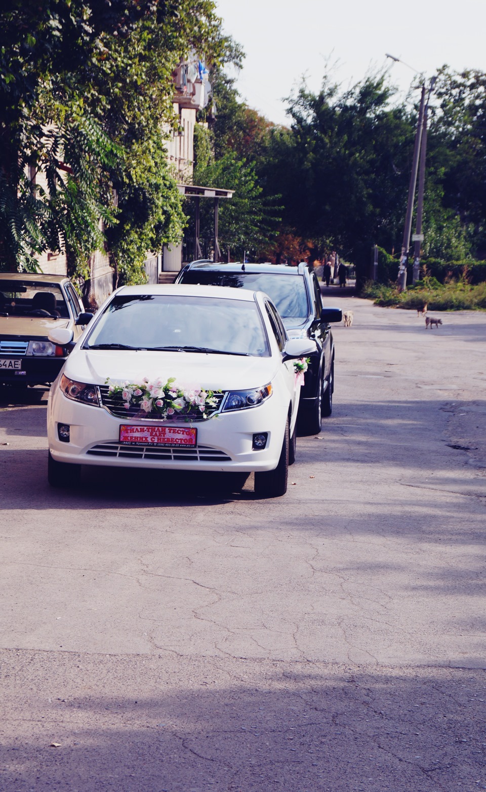 Ах, це весілля, весілля, весілля співала і танцювала ... 1