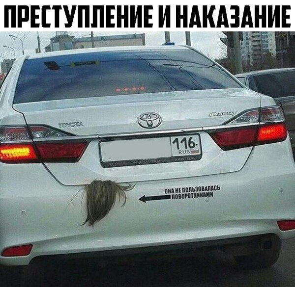 Жалість до бидла. 2