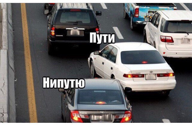 Жалість до бидла. 1